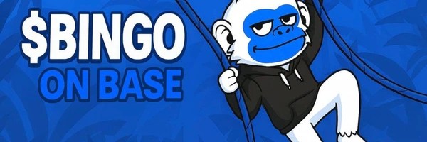 BINGO Header Image