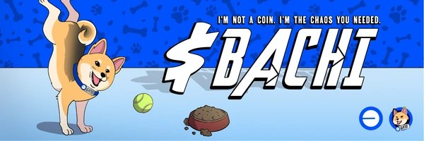 Bachi on Base Header Image