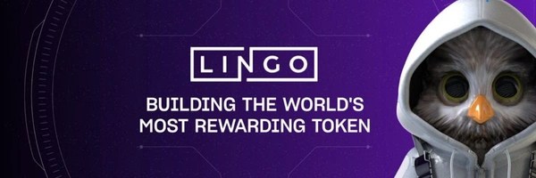 Lingo Header Image