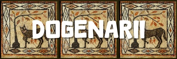 Dogenarii coin Header Image