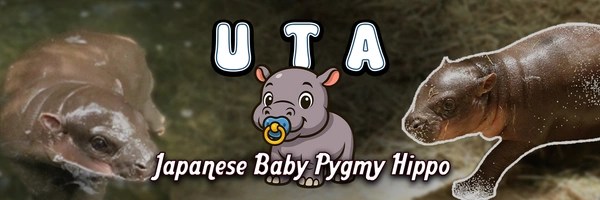 Japanese Pygmy Hippo Header Image