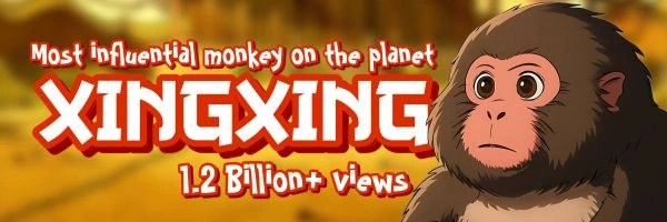 Xing Xing Header Image