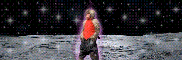 AURA MONKEY Header Image