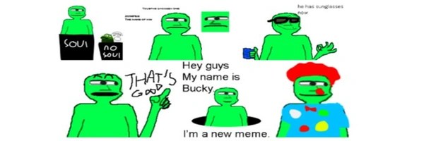 Bucky Header Image