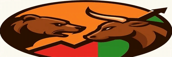 BearVsBull Header Image
