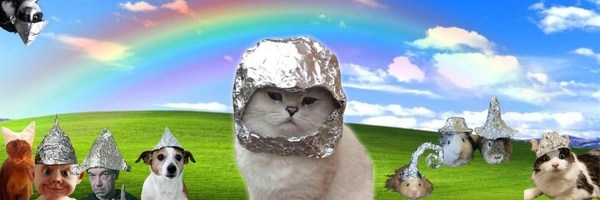Tin Foil Hat Cult Header Image