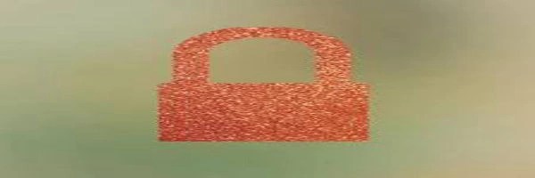 The Orange Era Header Image